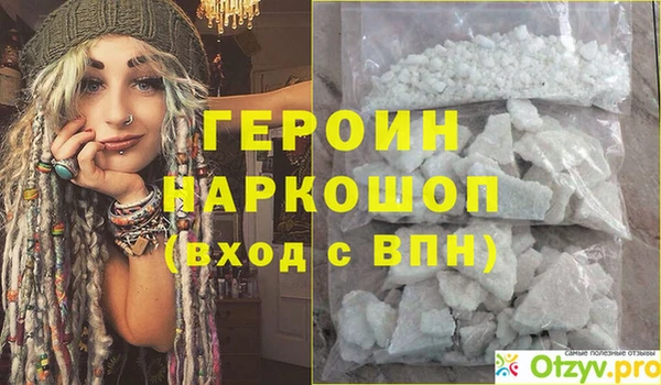 spice Богородицк